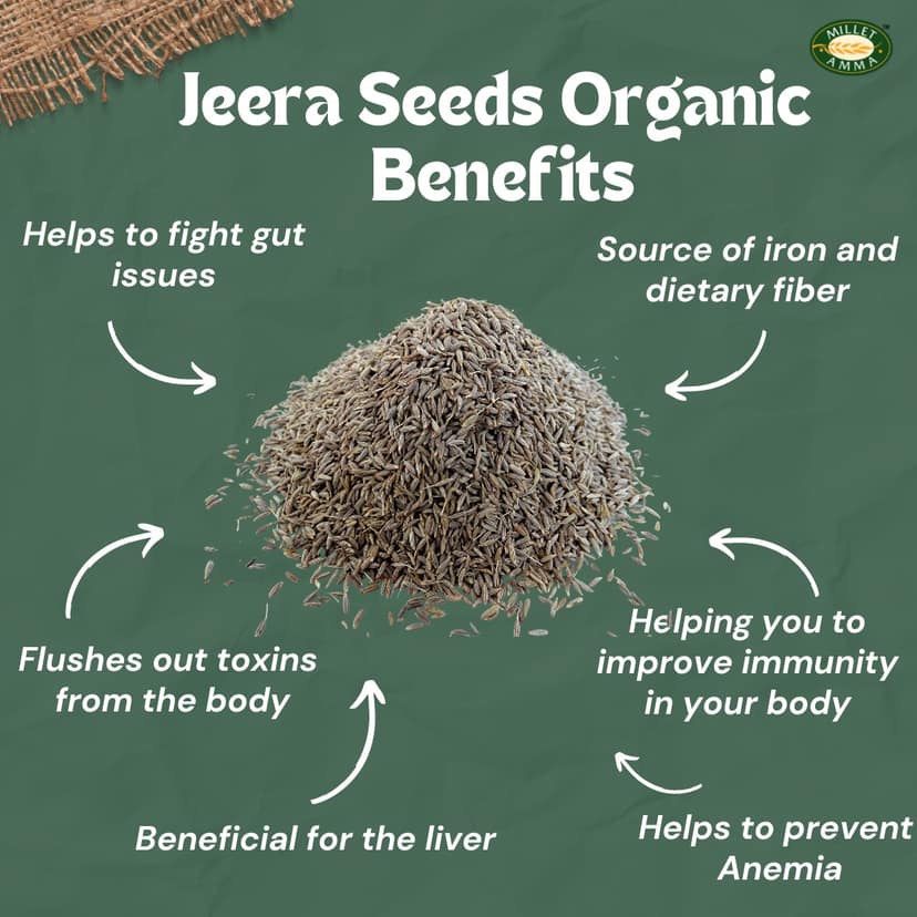 Jeera Seed view 2