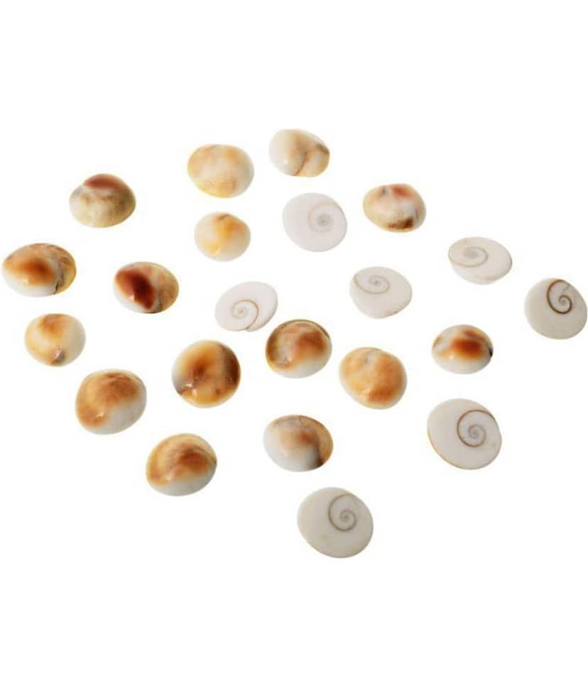 KESAR ZEMS Natural Stone Gomtichakra Pack of 22(8.5x5.5x2 cm) White