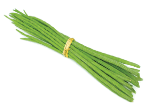 Drumstick 1 pc
