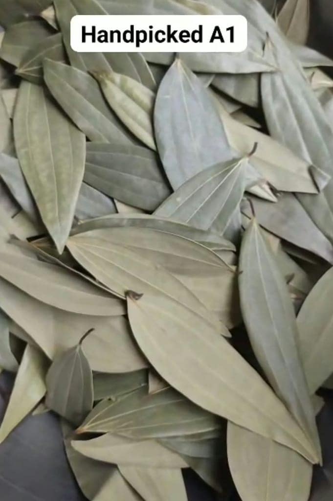 Bayleaf view 3