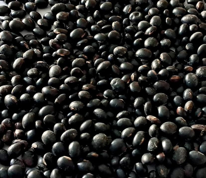 Black soyabean view 3