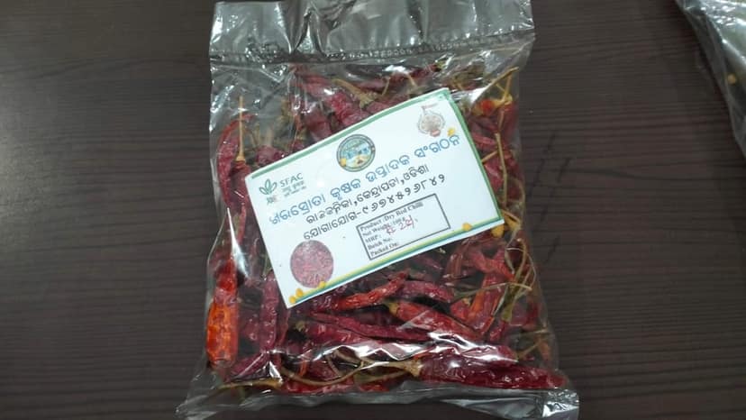 Dry Red Chilly view 3