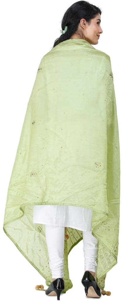Oasis Silk Dupatta From Amritsar with Gota Patti, Floral Beads and Velvet Tassels on Edges view 4