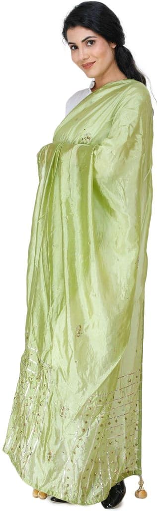 Oasis Silk Dupatta From Amritsar with Gota Patti, Floral Beads and Velvet Tassels on Edges view 5