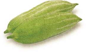 Snake Gourd 500 gms