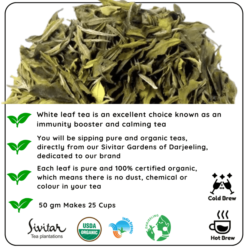 CALMING White Leaf - How White Tea Can Help You Relax and Focus view 3