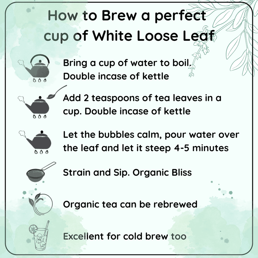 CALMING White Leaf - How White Tea Can Help You Relax and Focus view 5