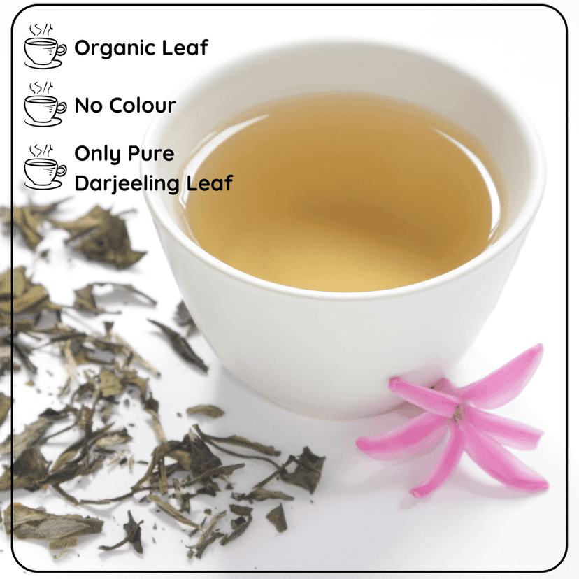 CALMING White Leaf - How White Tea Can Help You Relax and Focus view 6