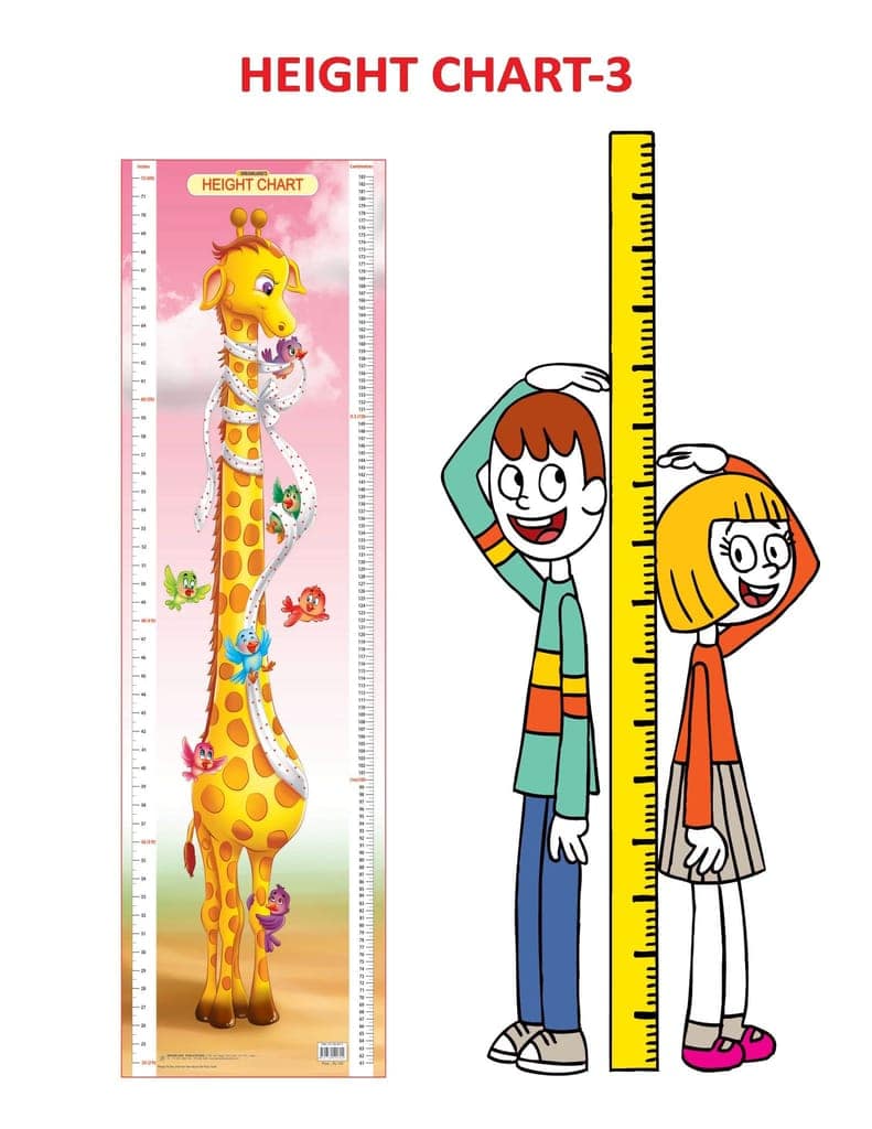 Height Chart 3 [Poster] Dreamland Publications view 2