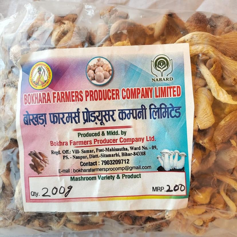Mushroom Oyester 200gm view 3