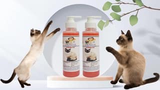 SWACCH Premium Shampoo for Siamese CAT (200ML) (Pack of 2) Jasmine