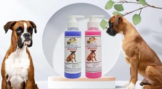 SWACCH Premium Shampoo for Boxer (200ML) (Combo Pack of 2) Lavender & Rose