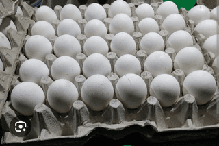 Eggs