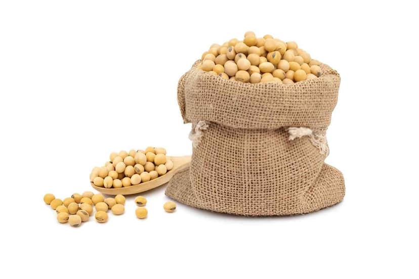 Organic Soybean Beans for Cooking - High-Quality Protein view 10