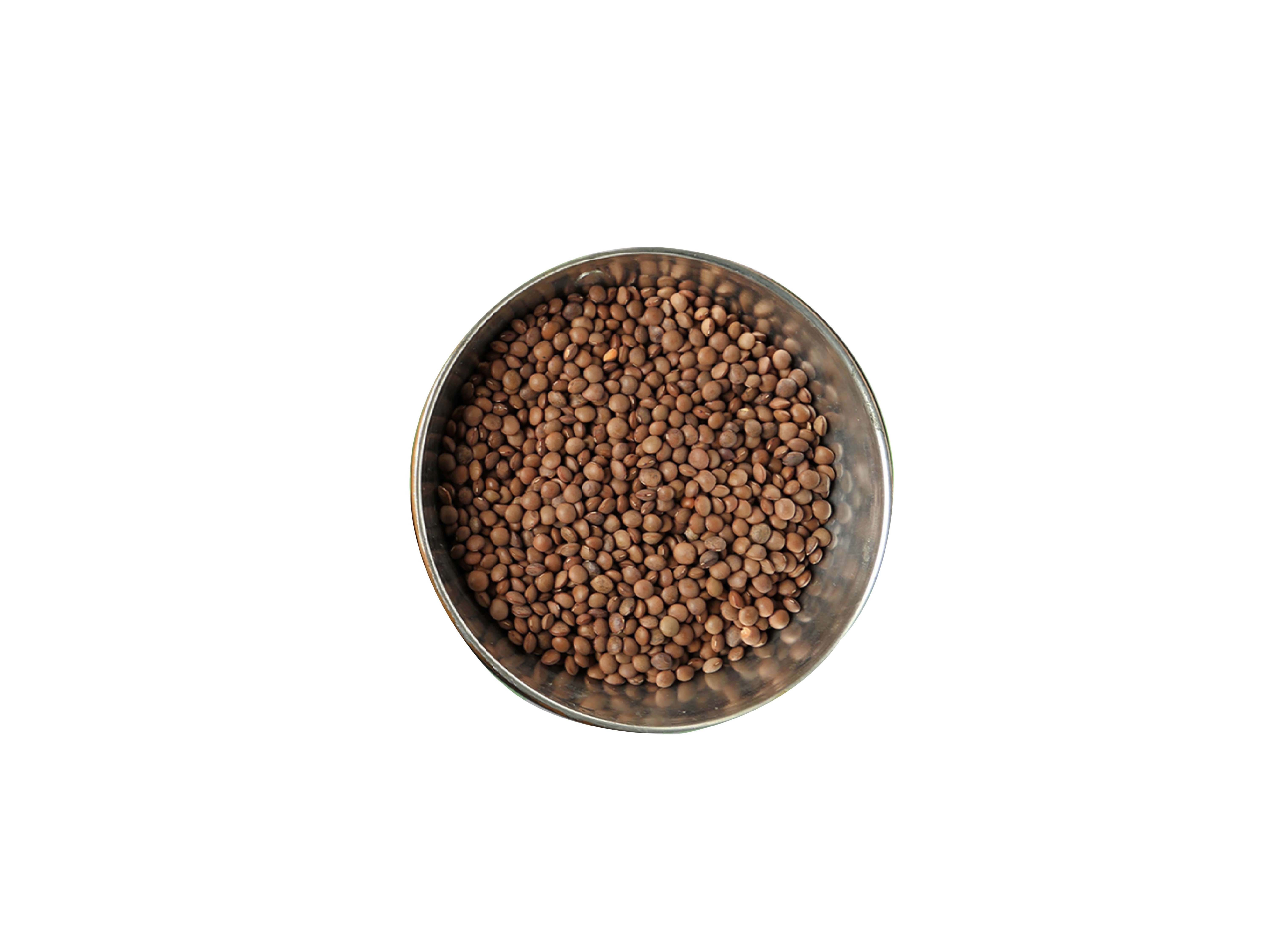 Organic Masoor Whole 500g view 3