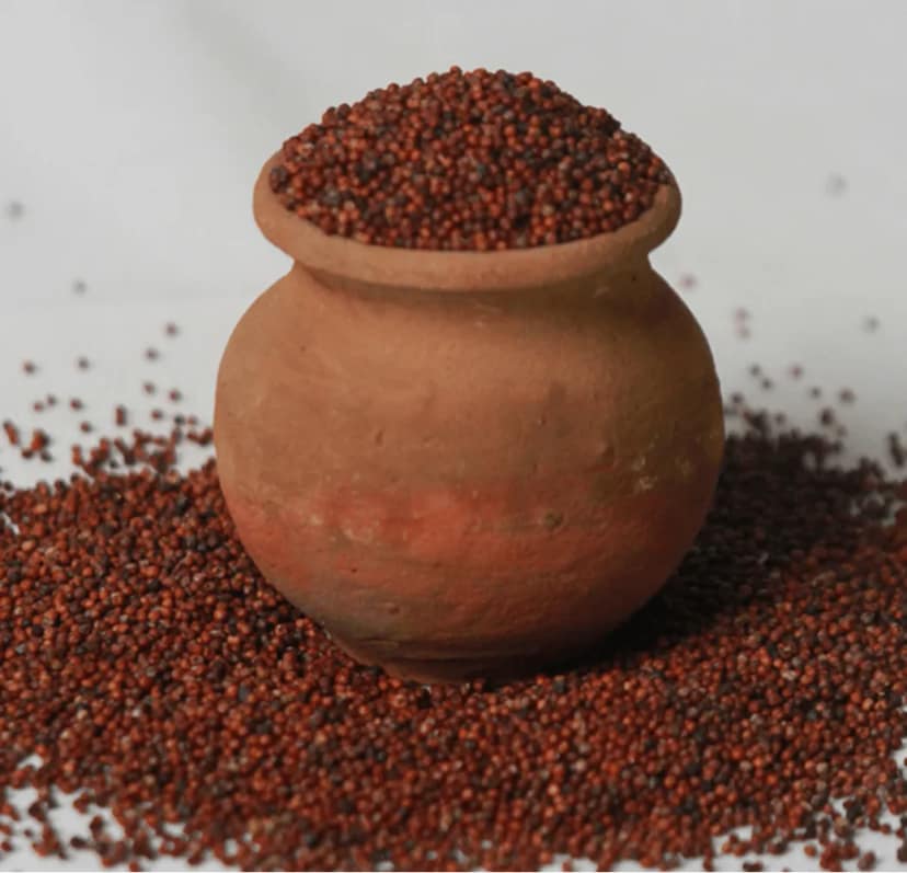 Ragi / Finger millet 500 gm