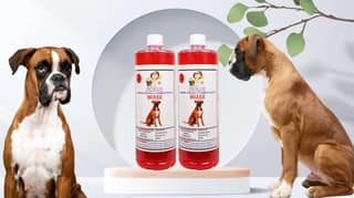 SWACCH Shampoo Specially FORMULATED for Boxer (1 Litre) (Pack of 2) Strawberry