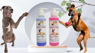 SWACCH Premium Shampoo for Great DANE (200ML)(Combo Pack of 2) Lavender & Rose