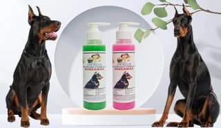 SWACCH Premium Shampoo for Doberman (200ML) (Combo Pack of 2) NEEM ALOVERA & Rose
