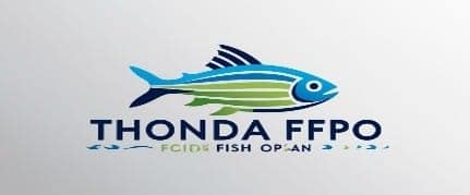 Thonda FFPO Fish Pickle - 300gm view 5