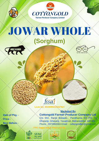 JOWAR WHOLE (Sorghum)