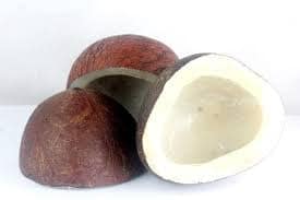 COCONUT DRY 250 GM