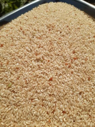 Ambemohar Unpolished Hand-Pounded Rice | Traditional Fragrant Grain | Everyday Cooking