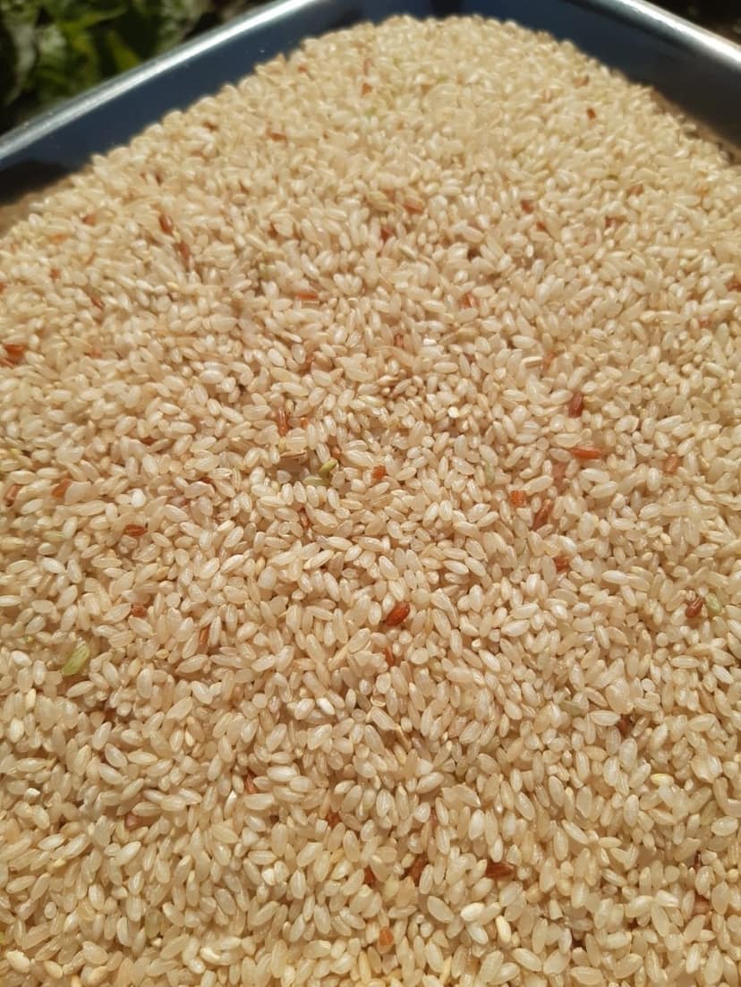 Ambemohar Unpolished Hand-Pounded Rice | Traditional Fragrant Grain | Everyday Cooking