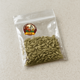 VANTHALA SUMALATHA Angadi's saunf (fennel seeds)