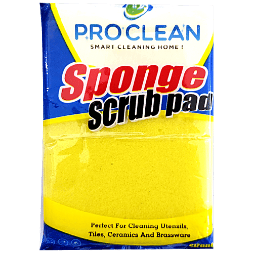 Pro Clean Sponge Scrub Pad - High-Quality Material, 1 pc