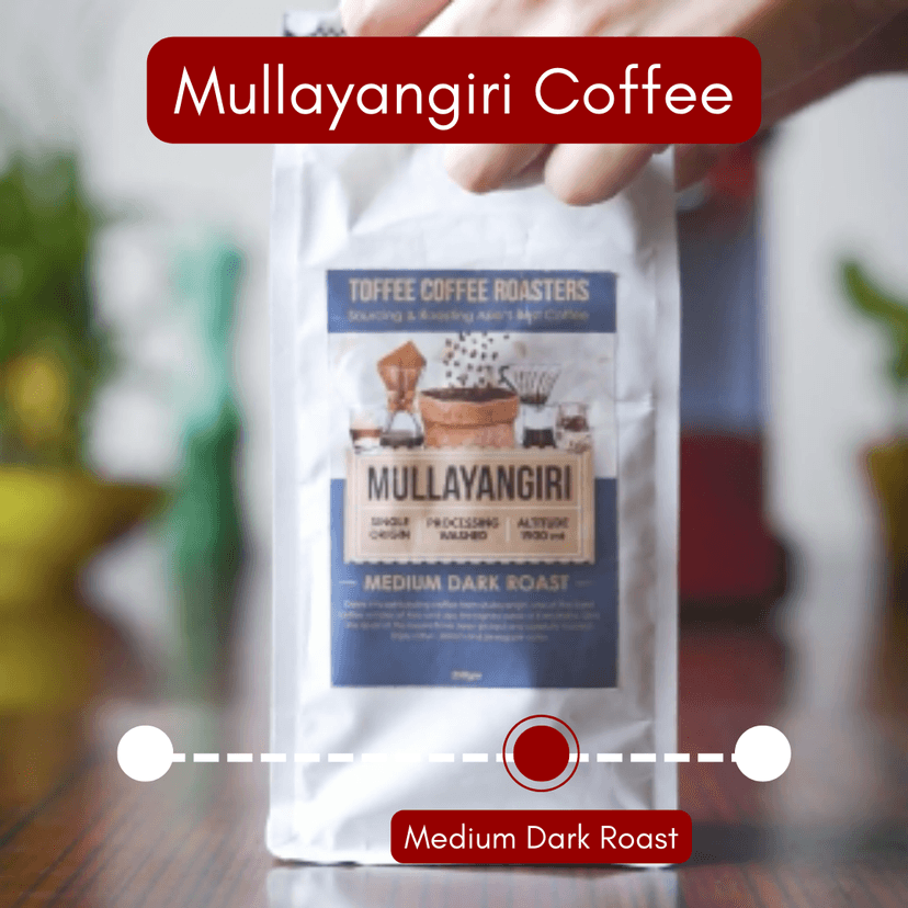 Mullayangiri Estate Coffee view 2