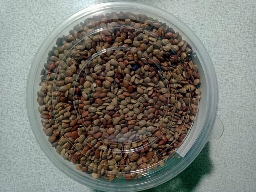 Horse Gram view 3