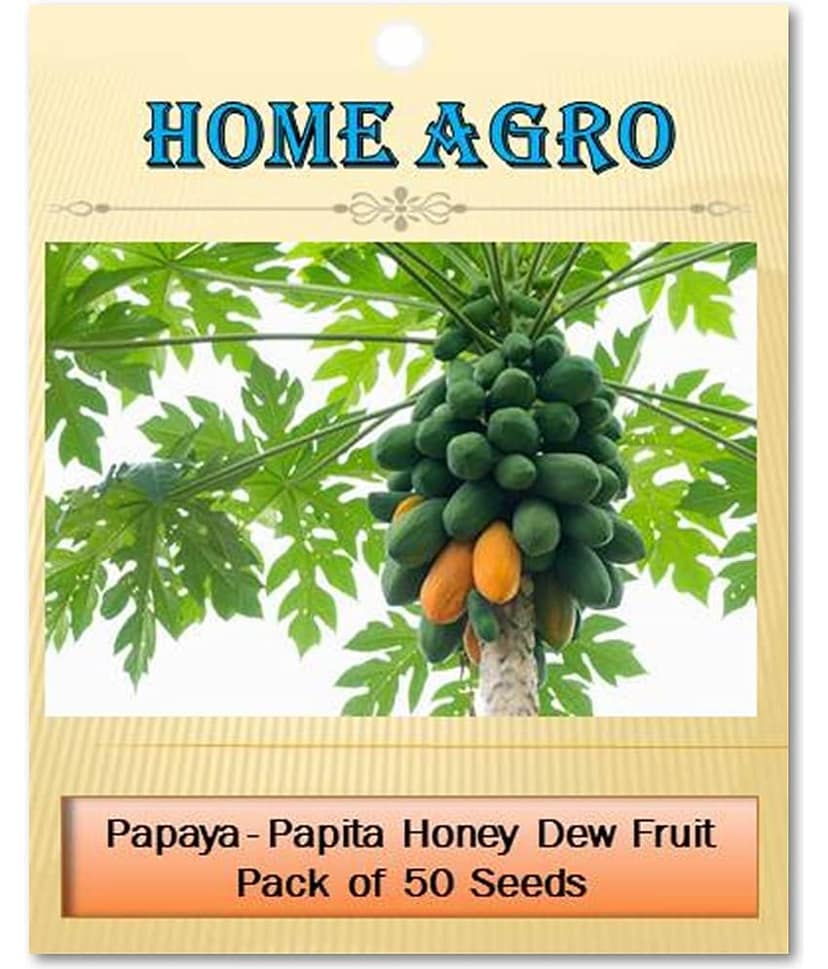 homeagro - Papaya Vegetable ( 50 Seeds ) view 2