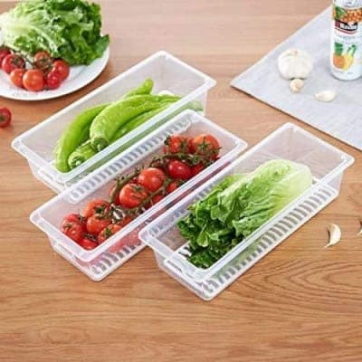 Wholesale Item - FISH VEGETABLE STORAGE CONTAINER (PACK OF 6) - MOQ 11 Pieces