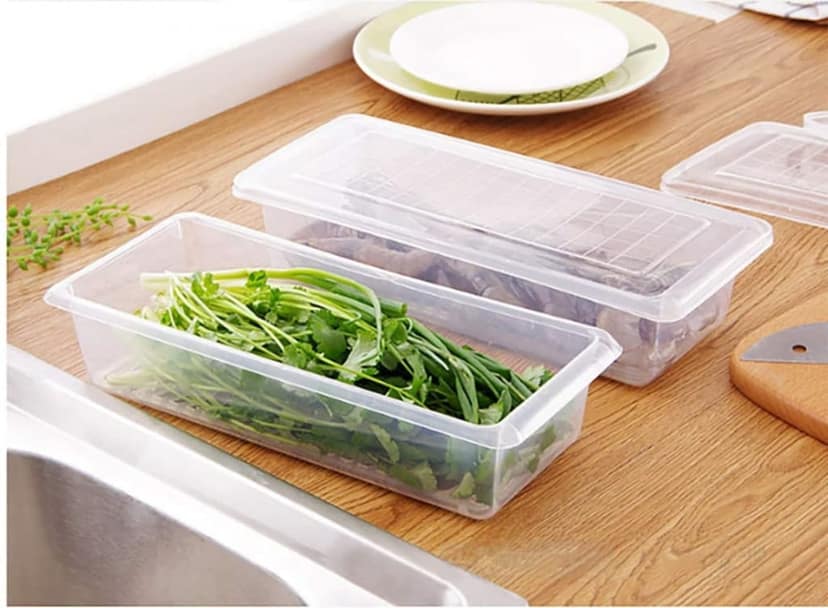 Wholesale Item - FISH VEGETABLE STORAGE CONTAINER (PACK OF 6) - MOQ 11 Pieces view 3