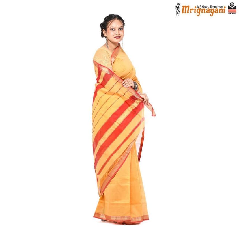 HANDLOOM MAHESHWARI SILK SAREE WITH BLOUSE (SKU - 3S0109230422, SAREE-1129) view 2