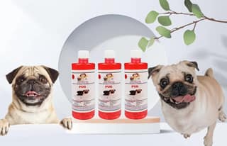 Swacch Shampoo Specially Formulated for Pug (500ml) (Combo Pack of 3) Jasmine