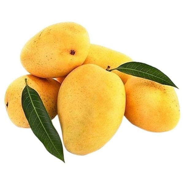 Mango-Safeda