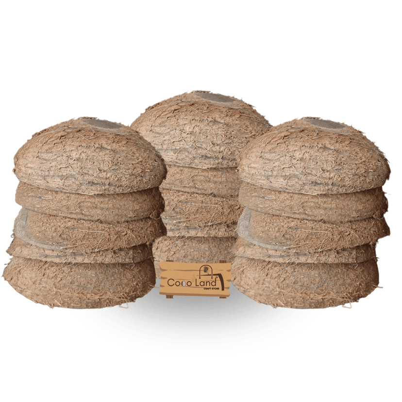 Coco Land Coconut Shell Natural Oval Pot (LARGE SIZE Pack of 30) 250 ml Decorative Pots/Showpieces/Candle Making Bowl /Handicraft/Agro Craft