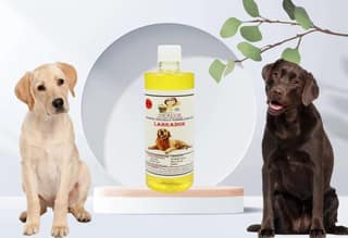 SWACCH Shampoo Specially FORMULATED for Labrador (500ML) Lemon
