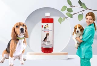 Swacch Shampoo Specially Formulated for Beagle (1 Litre) Jasmine