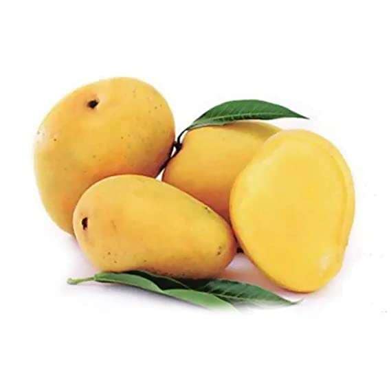 Mango - Alphonso / Ratnagiri 6 pcs