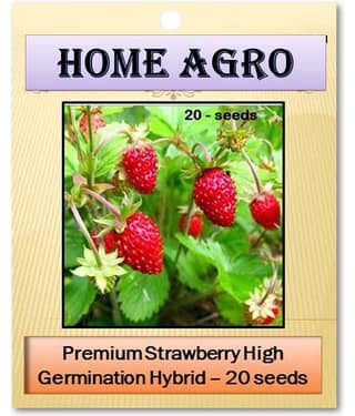 homeagro - Fruit Seeds ( 20 )