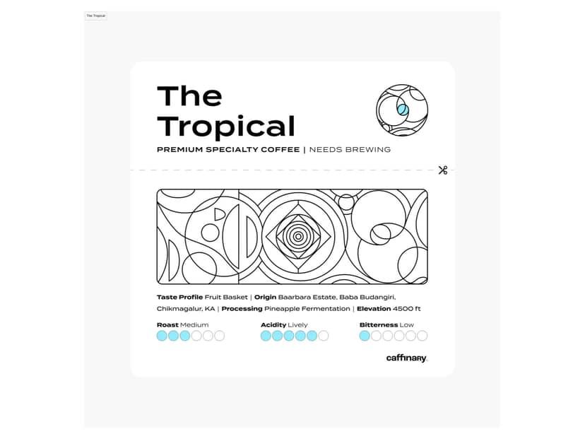 The Tropical - Roasted on 14/03 (Chemex/Clever Dripper) - 200 Gram view 3