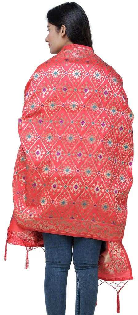 Bittersweet Brocade Dupatta from Gujarat with Birds and Geometric Motifs All-Over view 3