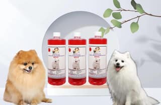 Shampoo Specially Formulated for Jasmine (Spitz 3 Litre)