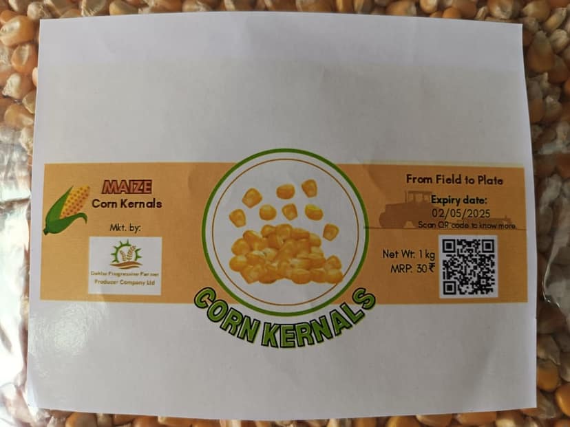 Maize Corn Kernels view 3