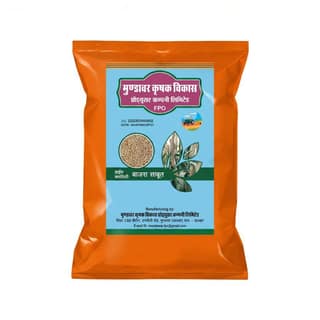 Bajra Sabut - 500 gm