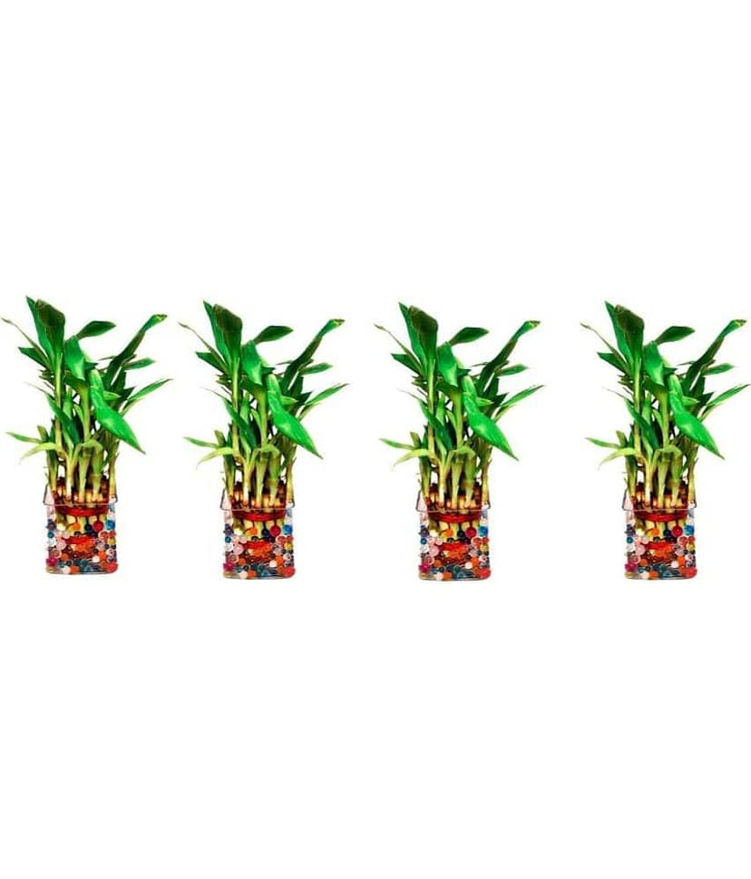 Green plant indoor - Green Wild Artificial Flowers With Pot ( Pack of 4 )