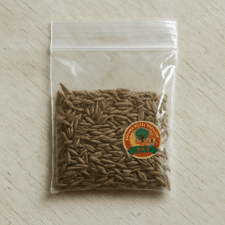 Shyama Putel Pavilion's cumin seeds